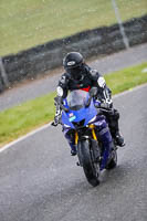 Lower Group Blue Bikes
